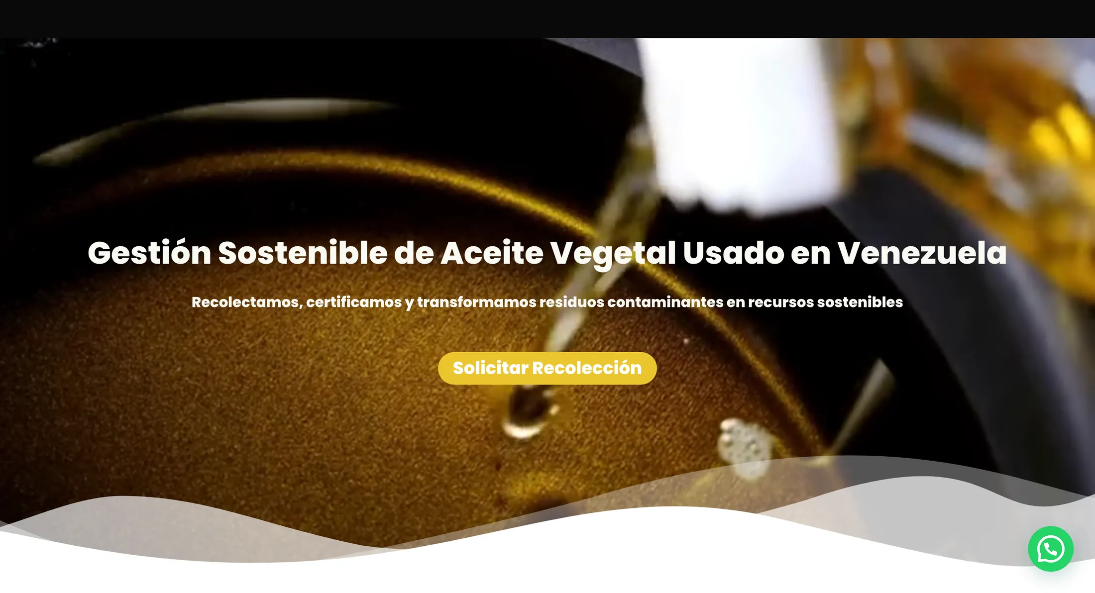 Web de Brocicla